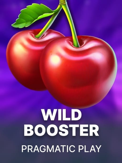 Wild Booster game cover